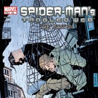 SPIDER-MAN'S TANGLED WEB #22