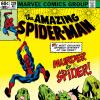 Amazing Spider-Man (1963) #228 Cover