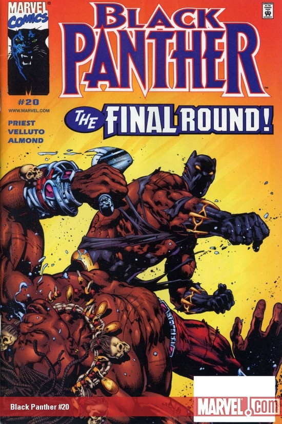 Black Panther #20