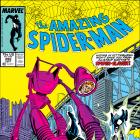 Amazing Spider-Man (1963) #292 Cover