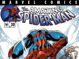 Amazing Spider-Man (1999) #30 Cover
