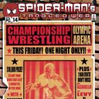 Spider-Man's Tangled Web (2001) #14