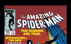 AMAZING SPIDER-MAN #252 COVER
