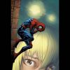 ULTIMATE SPIDER-MAN (2004) #65 COVER