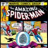 Amazing Spider-Man (1963) #199 Cover