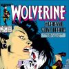 Wolverine #15