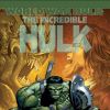 The Incredible Hulk #108 cover by Greg Land