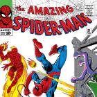 Amazing Spider-Man (1963) #21