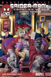 Spider-Man's Tangled Web #6 