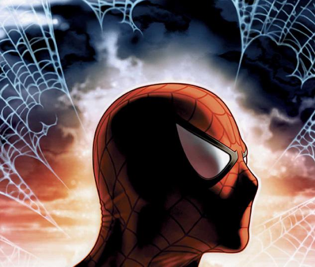 SPIDER-MAN UNLIMITED (2006) #8 COVER