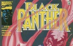 Image Featuring Black Panther