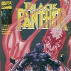 Image Featuring Black Panther
