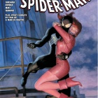 Amazing Spider-Man (1999) #638 COVER