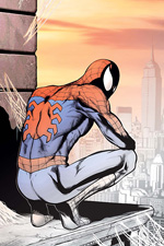 Spider-Man: Swing Shift Director's Cut (2008)