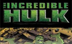 Incredible Hulk: The Fury Files (2008) #1