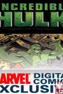 Incredible Hulk: The Fury Files (2008) #1