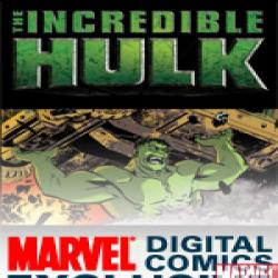Incredible Hulk: The Fury Files (2008) #1