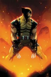 Wolverine #305 