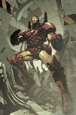 Avengers Disassembled: Iron Man (Trade Paperback)