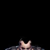 Punisher War Journal #2