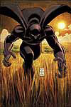 Black Panther (2005 - 2008)