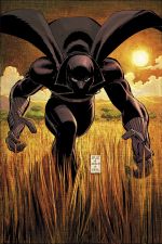 Black Panther (2005 - 2008)