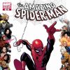AMAZING SPIDER-MAN #602 cover by Mike McKone