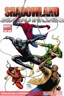 Shadowland (2010) #3 (VARIANT)
