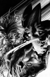 Wolverine (2003) #51 (Black and White Variant)