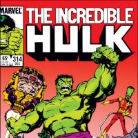 INCREDIBLE HULK (2009) #314 COVER