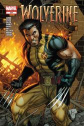 Wolverine #304 