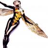 The Wasp by J.G. Jones