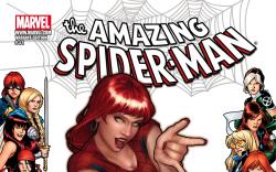 Amazing Spider-Man (1999) #641 VARIANT COVER