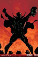 Black Panther (2005) #39