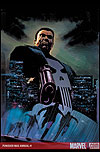 Punisher Max Annual (2008 - Present)