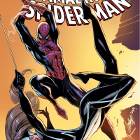 Amazing Spider-Man (1999) #648, Campbell Variant