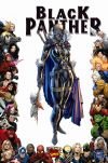 Black Panther (2008) #7 (70TH FRAME VARIANT)
