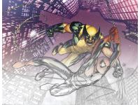 Astonishing Spider-Man/Wolverine (2010) #1 (Director's Cut)
