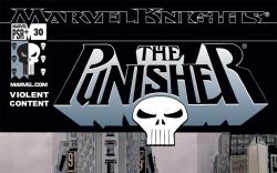 Punisher (2001) #30 Cover