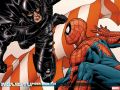 Marvel Knights Spider-Man (2004) #18 Wallpaper