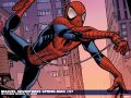 Marvel Adventures Spider-Man (2005) #37 Wallpaper