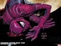 Amazing Spider-Man (1999) #588 Wallpaper