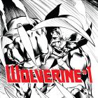 cover from Wolverine (2013) #1 (DAVIS SKETCH VARIANT)