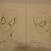 Spider-Man by Steve McNiven