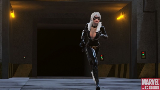 Black Cat in Web of Shadows