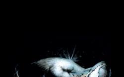 VENOM (2003) #8 COVER