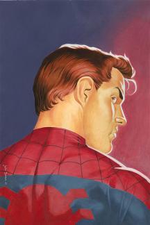 Spider-Man Unlimited (2004) #13