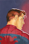 Spider-Man Unlimited (2004) #13