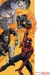 Spider-Man/Fantastic Four (2010) #3