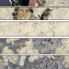 X-23 #13 preview art by Phil Noto